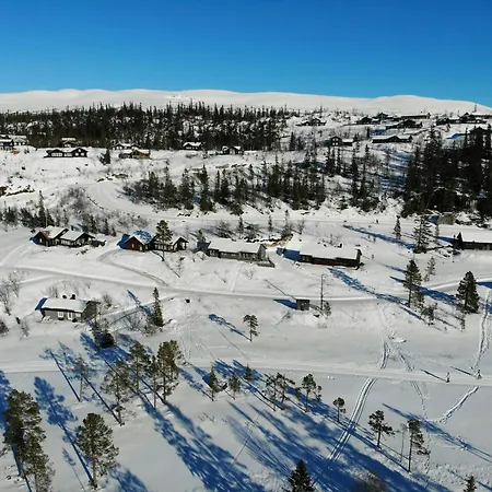 Modern Mountain Near Norefjell *