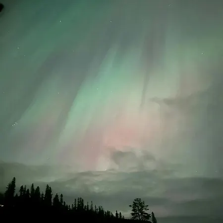 Modern Mountain Near Norefjell Holiday home