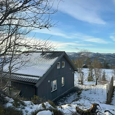Modern Mountain Near Norefjell * Eggedal